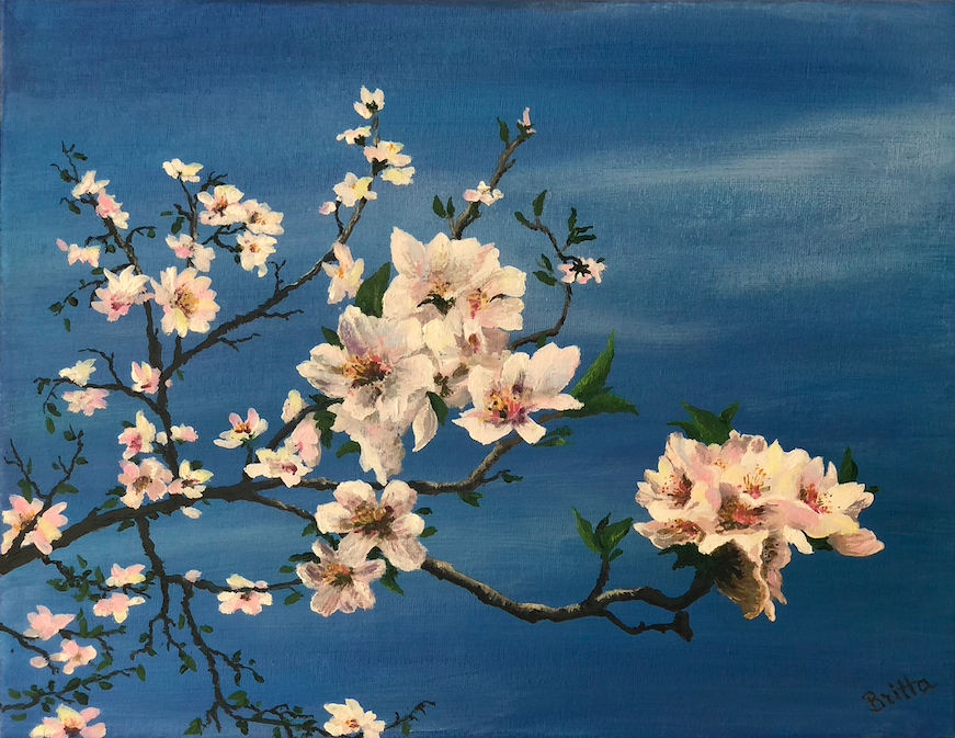 FLOR DE ALMENDRO