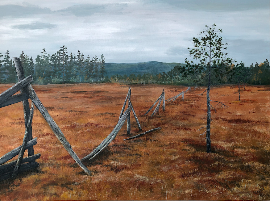 AN AUTUMN DAY AT THE BOG