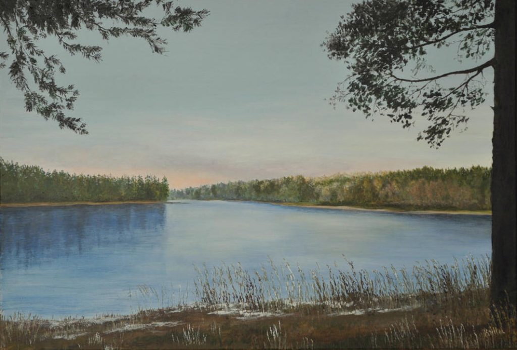 DE VUELTA A BERGBACKATJÄRN