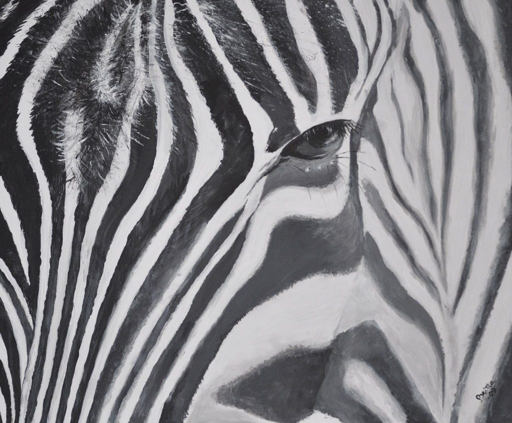 ZEBRA