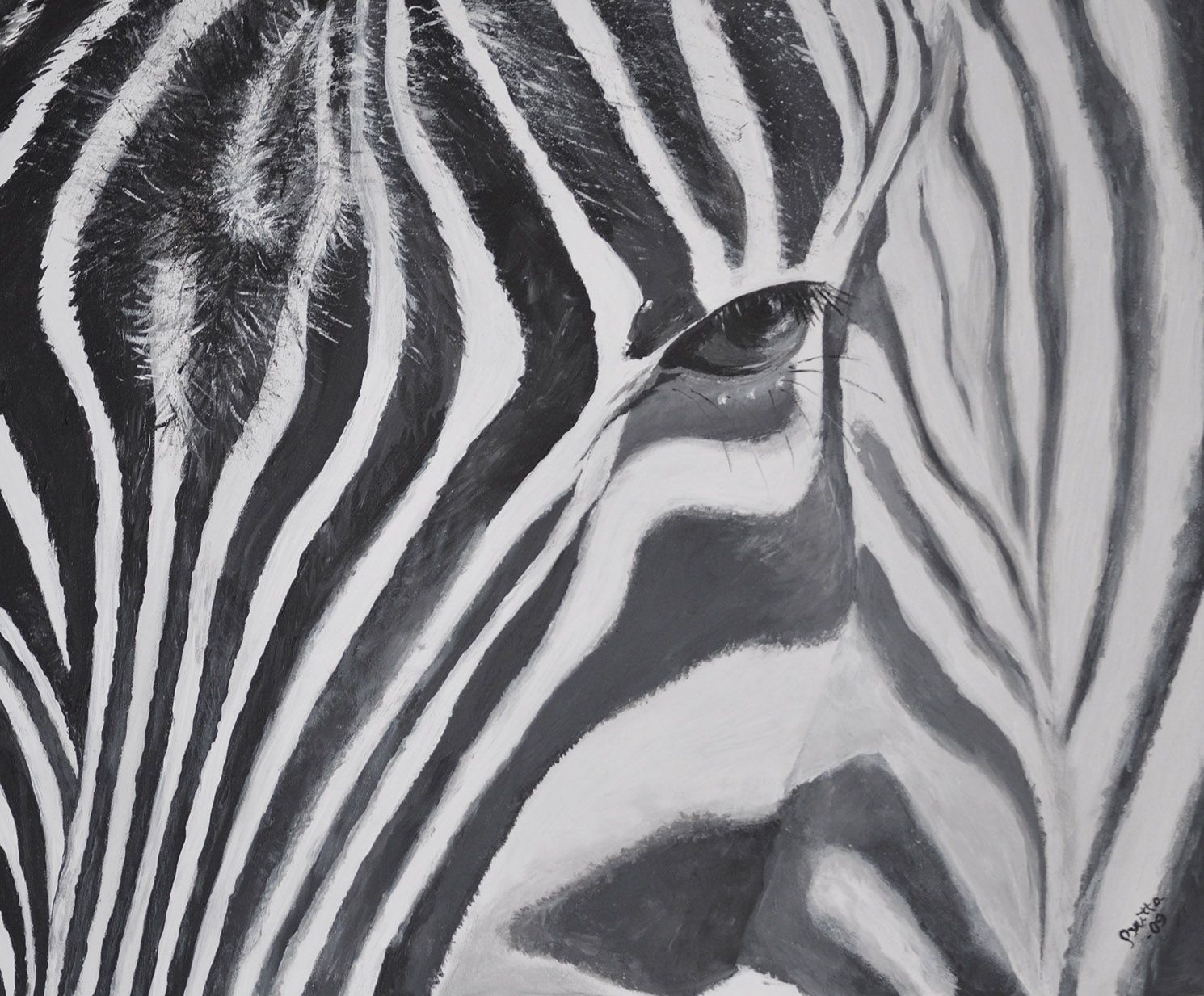ZEBRA