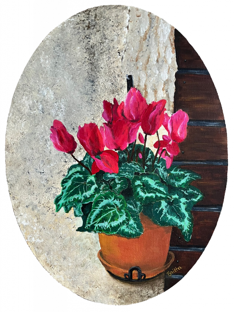 CYCLAMEN