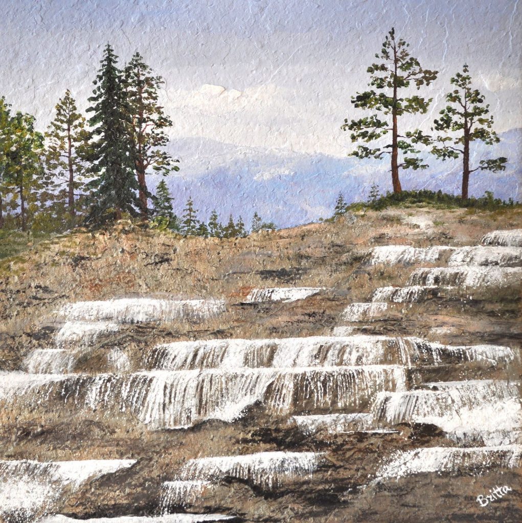 NATURENS TRAPPA