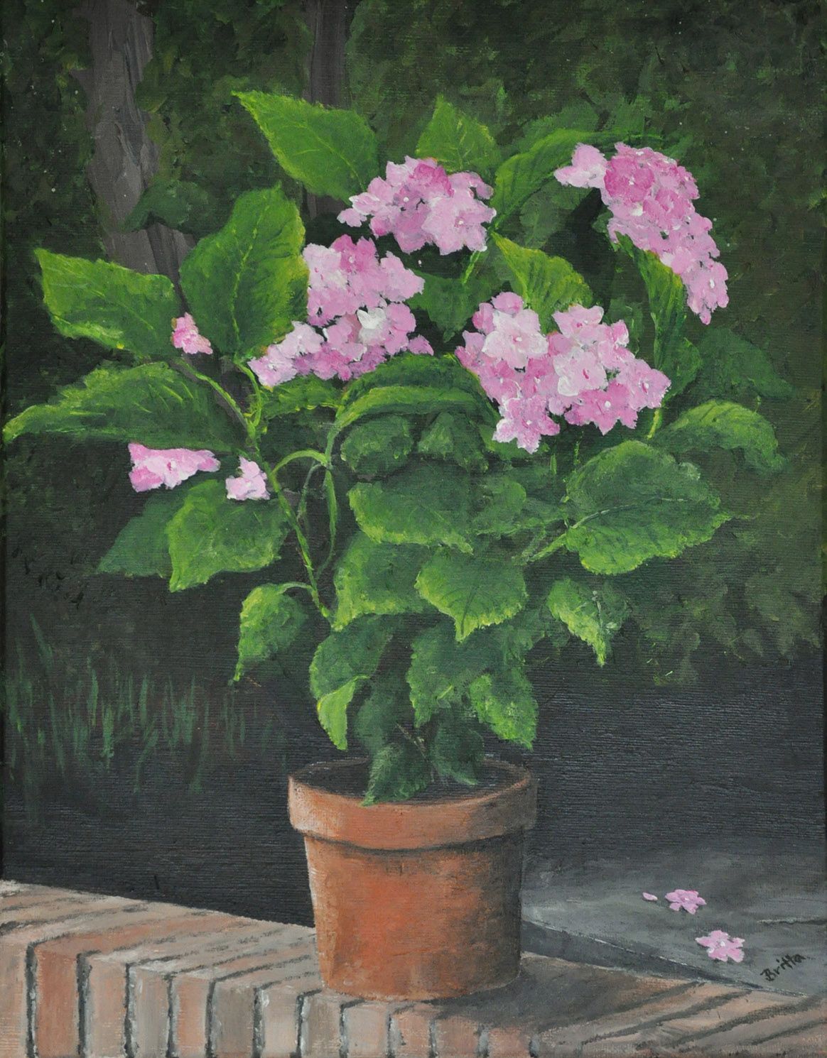 HORTENSIA