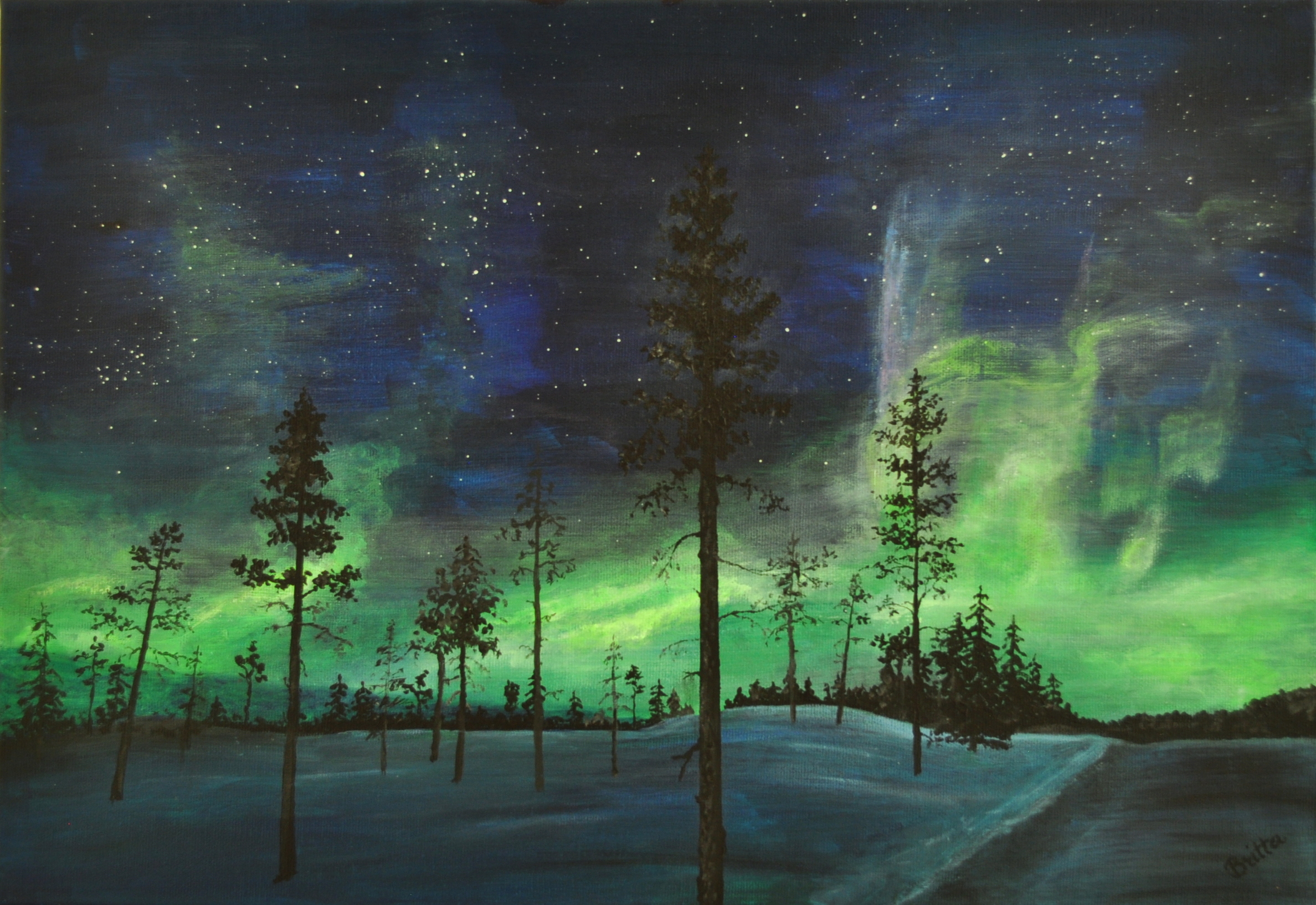 NIGHT WITH NORTHERN LIGHTS