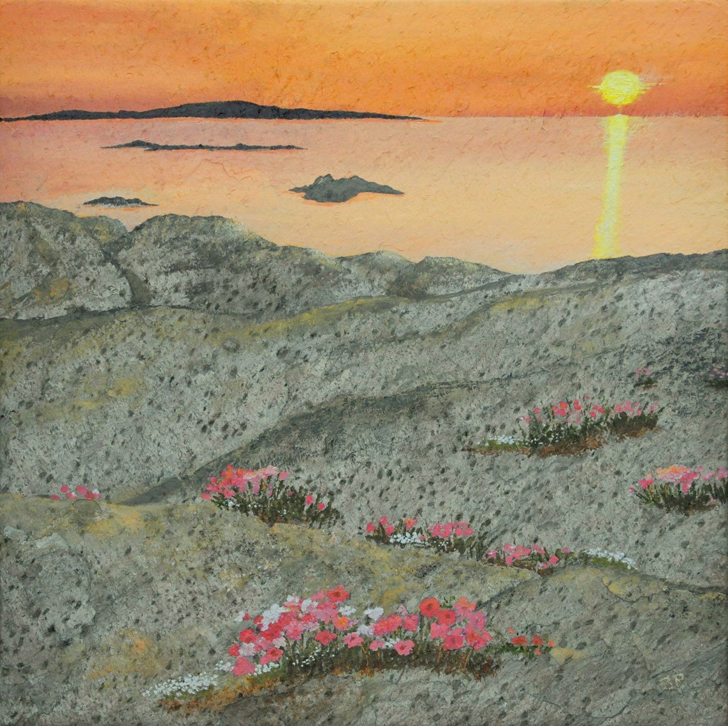 SOLNEDGÅNG