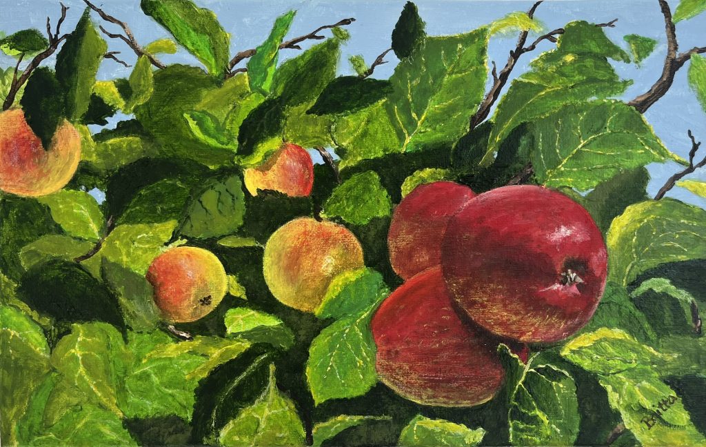 MANZANAS ROJAS
