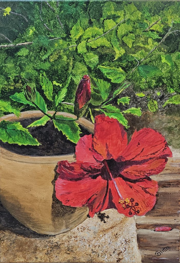 RED HIBISCUS