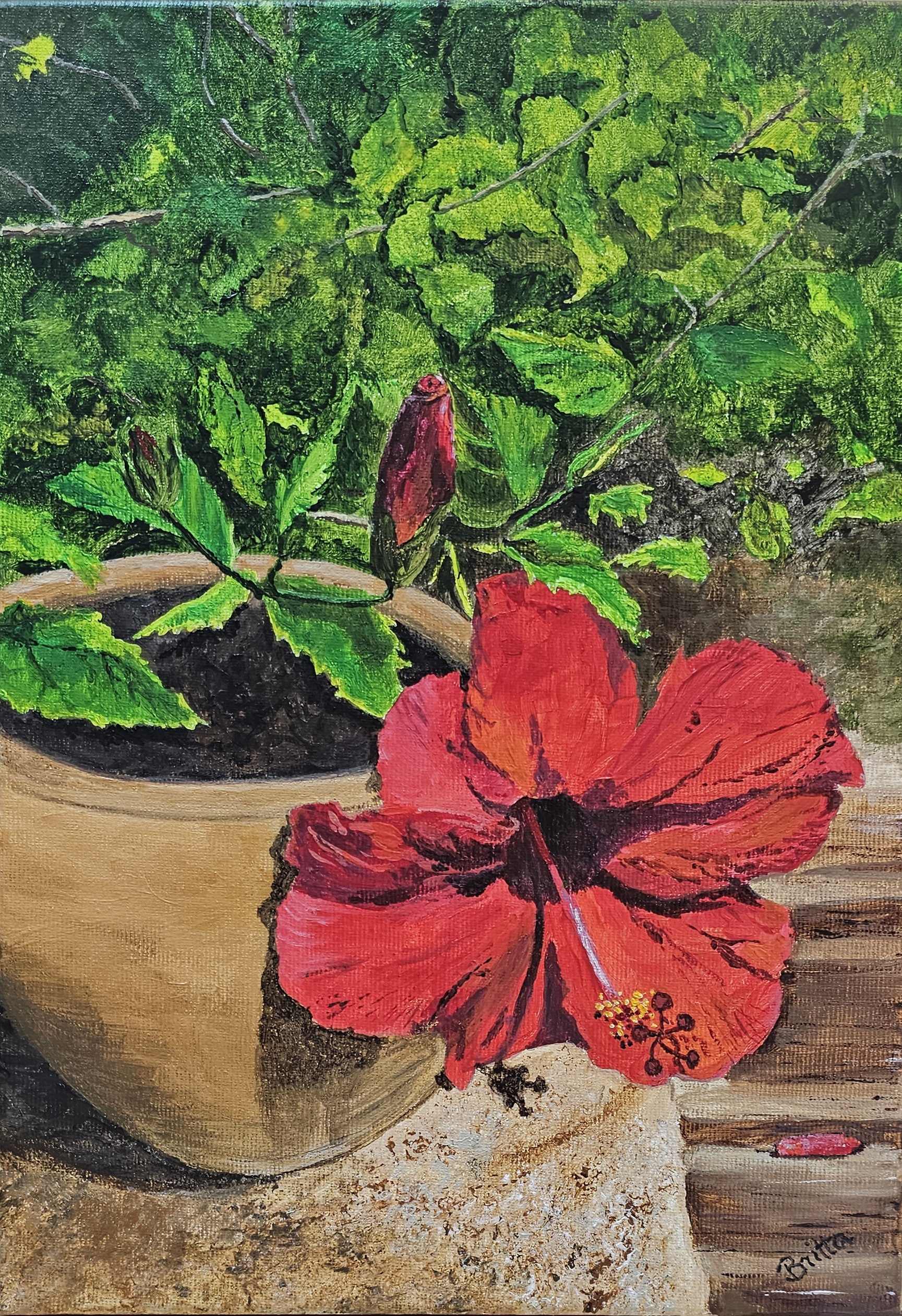 HIBISCO ROJO