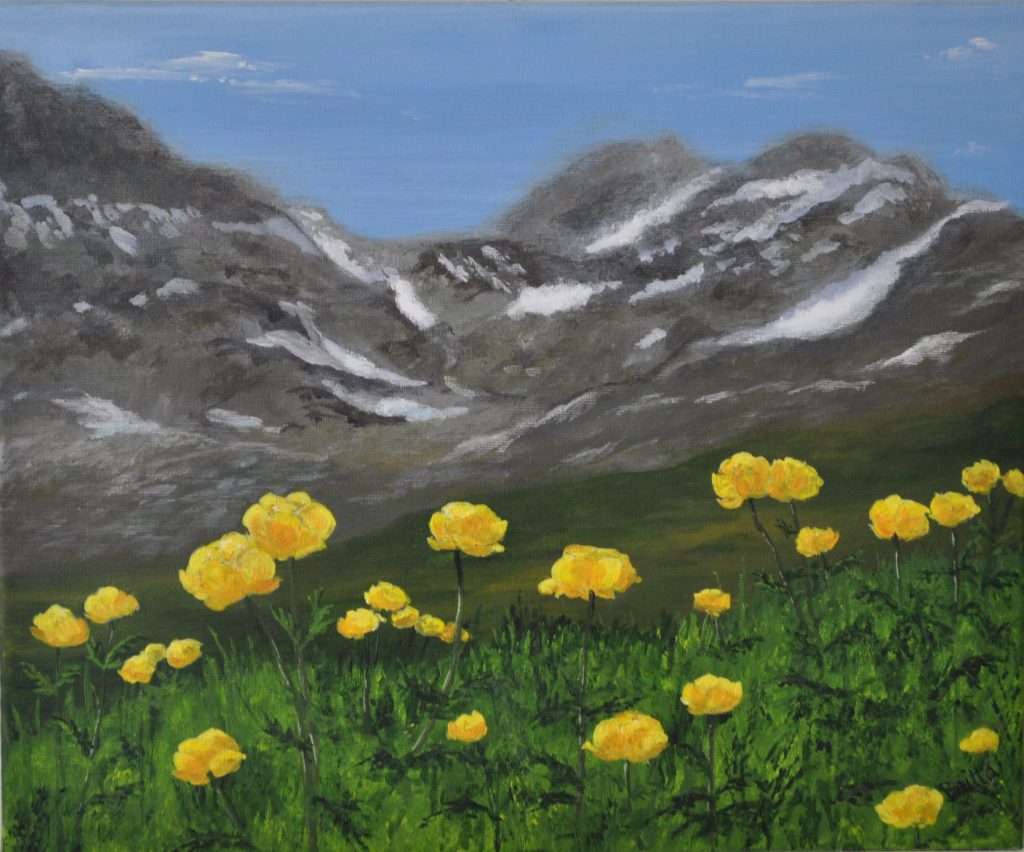 TROLLIUS EUROPAEUS