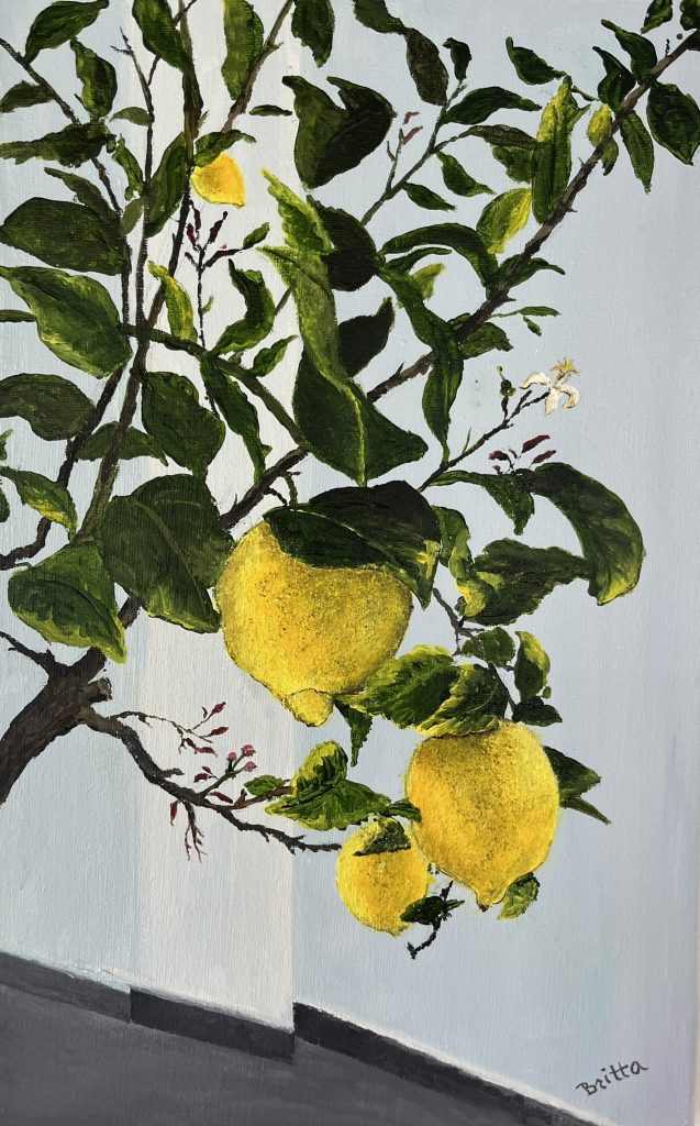 LIMONES AMARILLOS