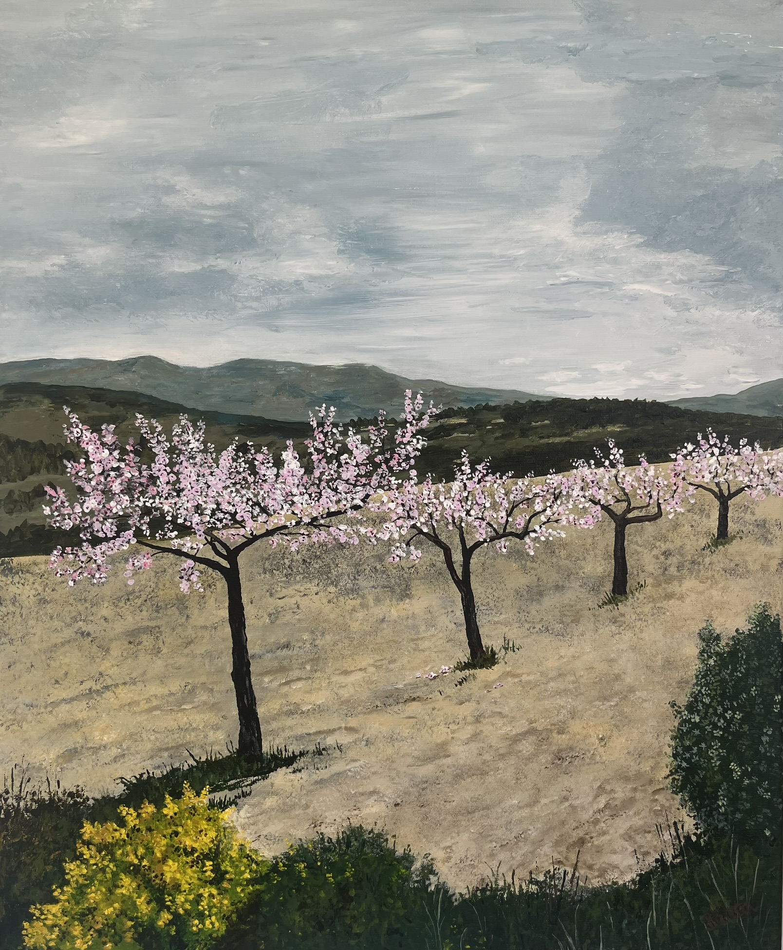 ALMENDROS EN FLOR EN ALCUBLAS